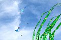 Cerfs-Volants cerfs volants cerf-volant vlieger vliegers kite kites festival event evenement berck-sur-mer berck sur mer frankrijk france scheveningen jpg